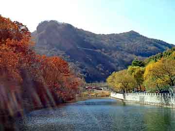 新澳天天开奖资料大全旅游团，时时彩论坛